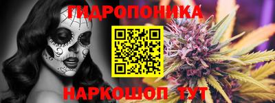 скорость Камень-на-Оби