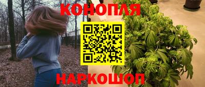 скорость Камень-на-Оби