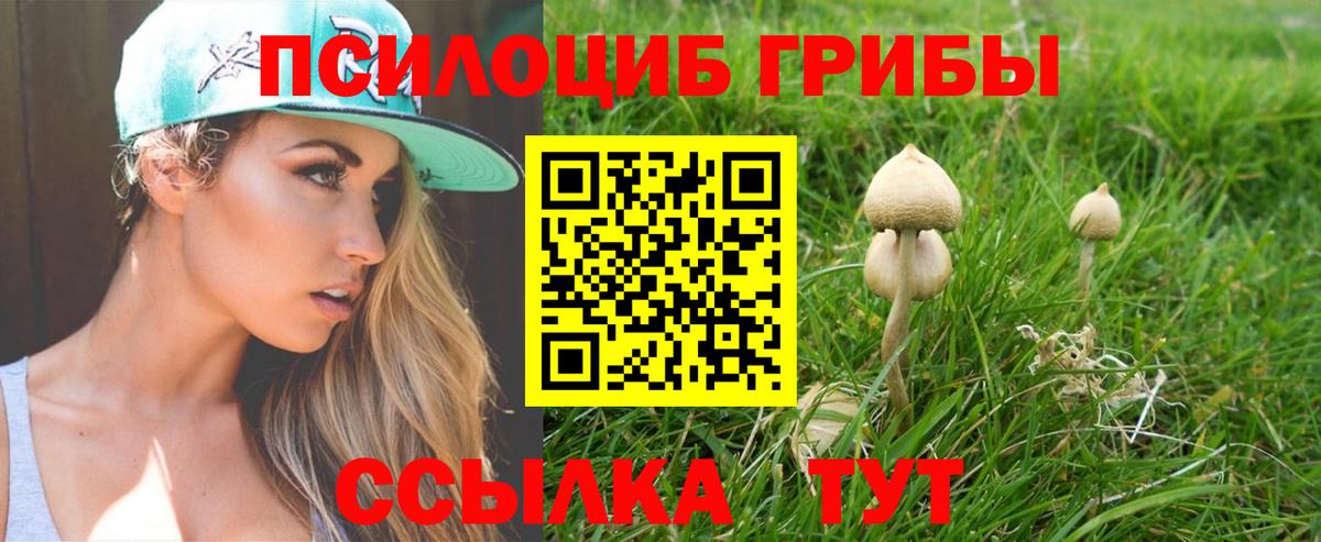 Галлюциногенные грибы Magic Shrooms  Вход с VPN  Артёмовский  Галлюциногенные грибы Psilocybe 