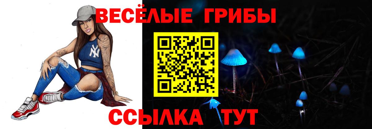 Псилоцибиновые грибы Cubensis Артёмовский